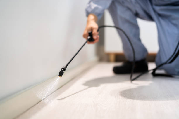 Licensed Rodent Control service in Fort Lewis, WA - Nex Pest Control