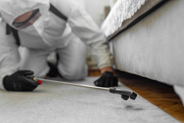 Professional Rodent Control technician working in Fort Lewis, WA