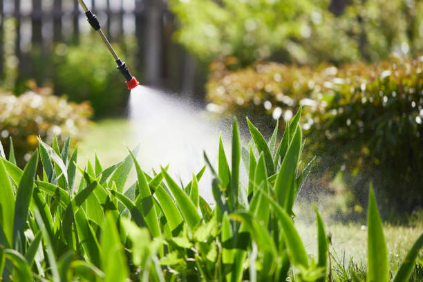 24/7 Emergency Rodent Control experts in Fort Lewis, WA