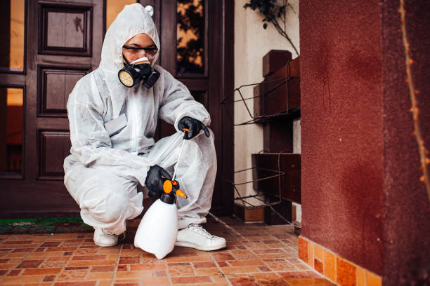 Reliable Rodent Control contractor in Fort Lewis, WA by Nex Pest Control