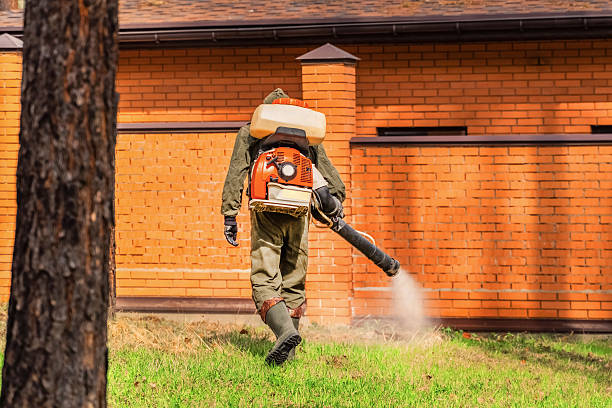 Trusted Bed Bug Control service in Fort Lewis, WA - Nex Pest Control